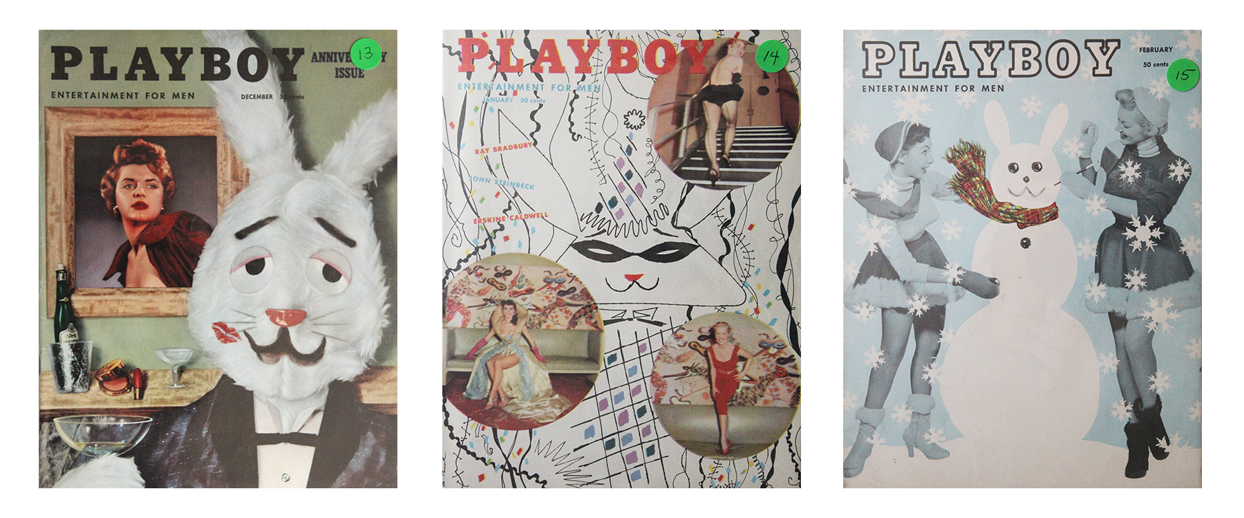 My Playboy Collection 10
